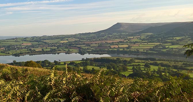 我们的动物福利标准”loading=