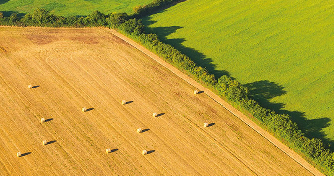 从领域到餐桌我们农业标准”loading=