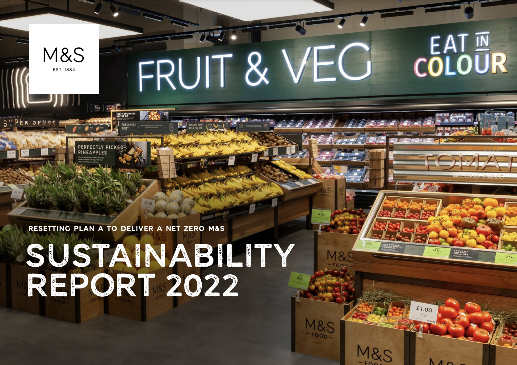 开云体育网页版官方入口2022年可持续发展报告