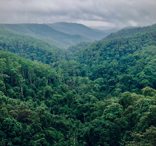  环境和伦理营销