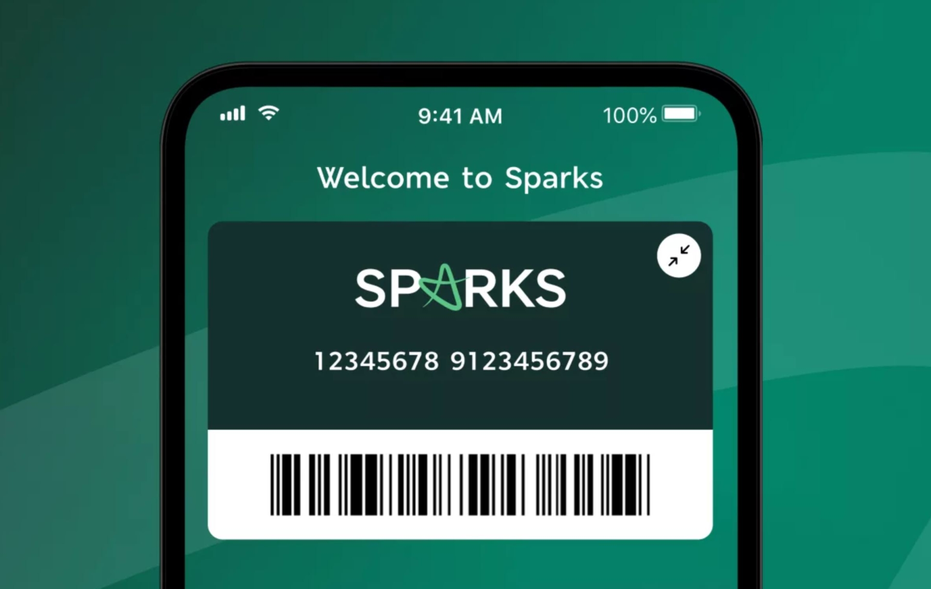 火花的伙伴关系