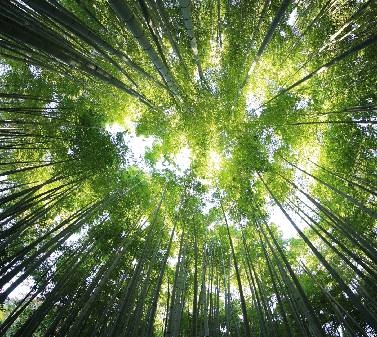 开云体育网页版官方入口