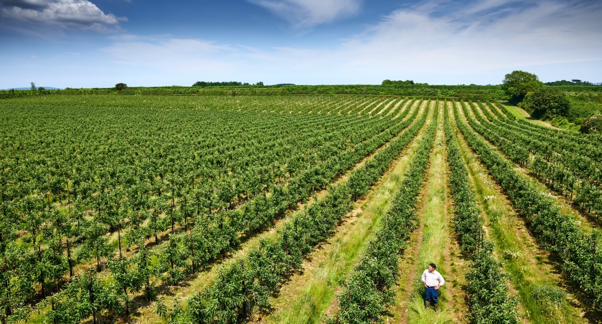 开云体育网页版官方入口可持续性在女士”typeof=