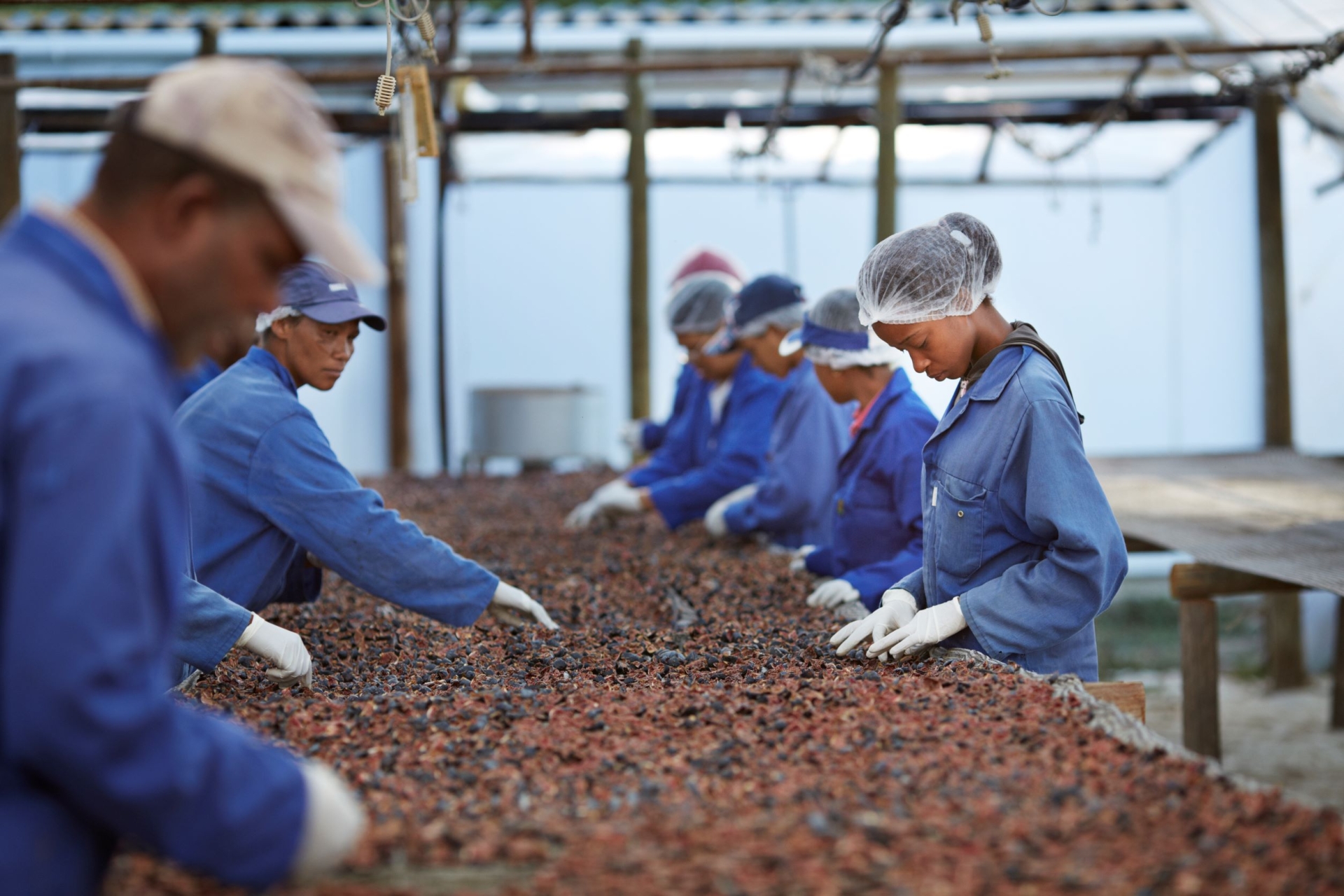 我们的政策和标准