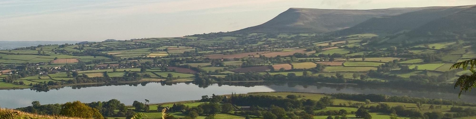 我们的动物福利标准