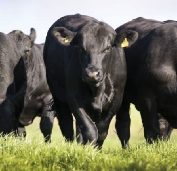 我们知道我们的食物从哪里来